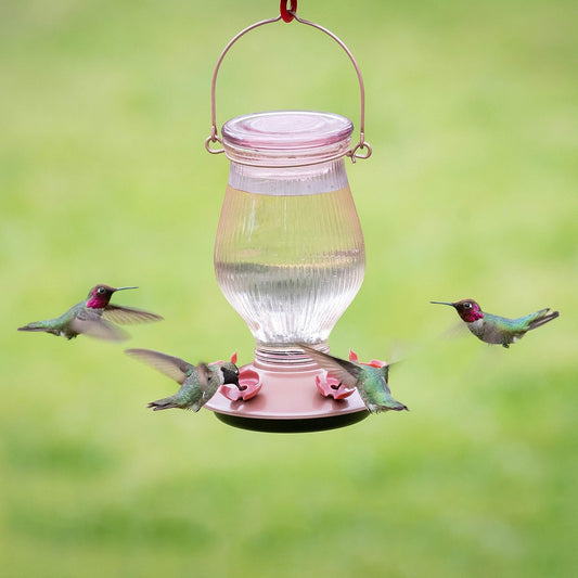 Perky-Pet 9104-2 Rose Gold Top-Fill Glass Hummingbird Feeder Rose Gold 24 oz Capacity