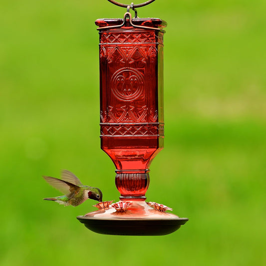 Perky-Pet Red Square Antique Bottle Glass Hummingbird Feeder - Humming Bird Feeders for Outdoor Garden Decor - 24 Oz Nectar Capacity - 8116-2