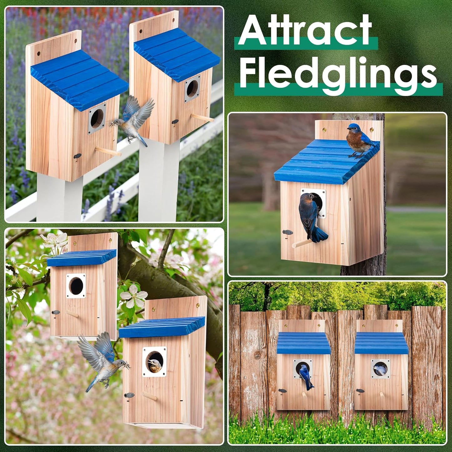 Dreyoo 2 Pack Cedar Bluebird Box Houses for Outside, 1-1/2'' Entrance