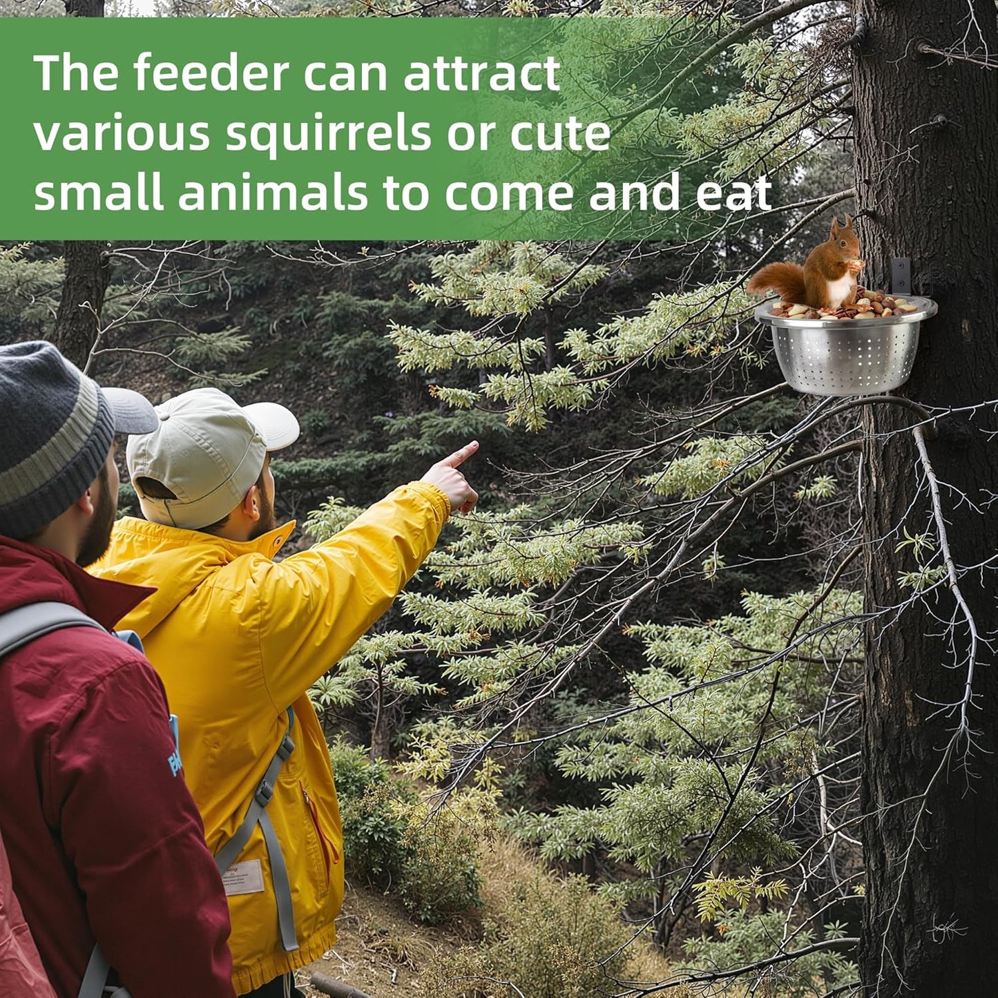 Outdoor Metal Wild Squirrel Feeder: Chipmunk Food Holder with Removable Feed Bowl Easy to Clean and Refill, Install on Trees, Houses, Fence or in Backyard, Patio, Yard for Wild Critter, Woodpecker