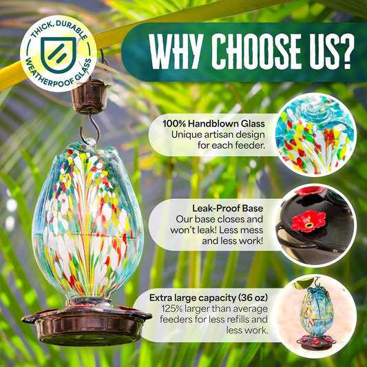 Tulip Shaped Glass Hummingbird Feeders for Outdoors - 36 Oz Hummingbird Feeder - Humming Bird feeders for Outdoors Hanging