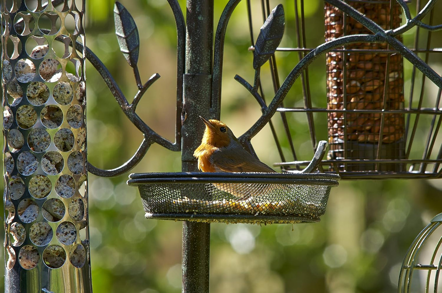 Peckish 60051228 Secret Garden Dining Station for Wild Bird, 6 x 20 x 80 cm