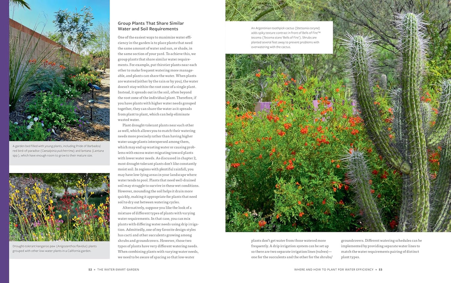 The Water-Smart Garden: Techniques and Strategies for Conserving, Capt