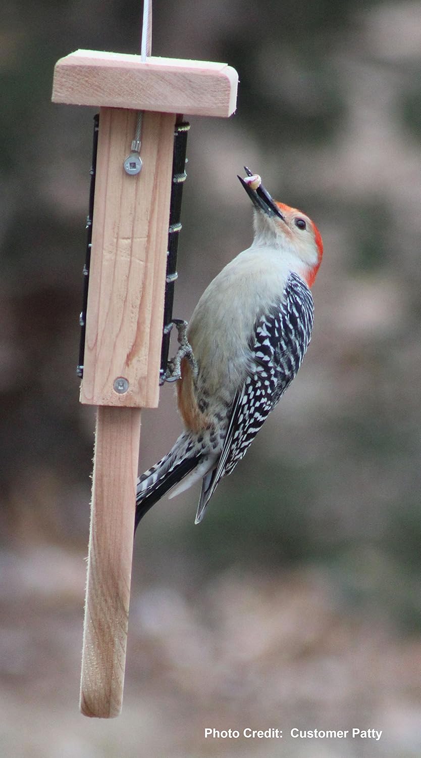 Kettle Moraine Cedar Single Cake Tail Prop Suet Bird Feeder with Hanging Cable