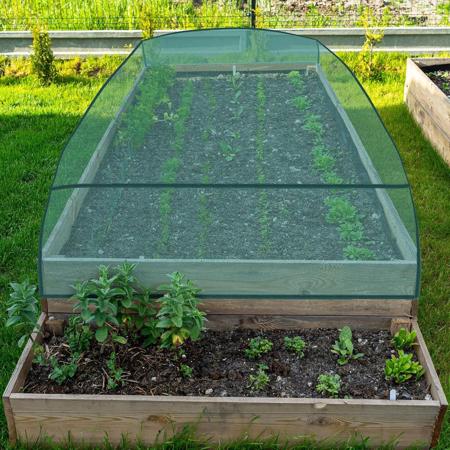 Qualirey 6 Pack Garden Netting for Raised Beds, 59" x 28" x 18" Mesh P