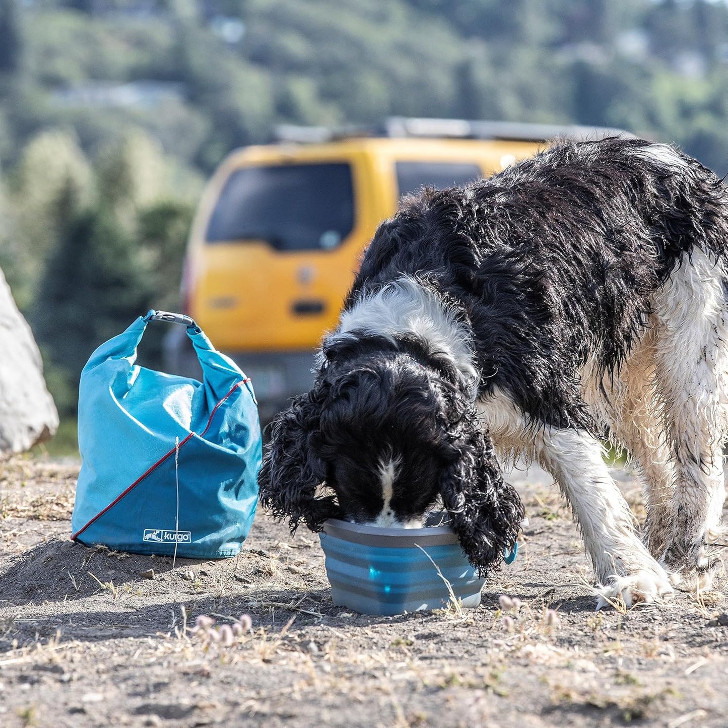 Kurgo Kibble Carrier - Portable Kibble Carrier - Compact Travel Storag
