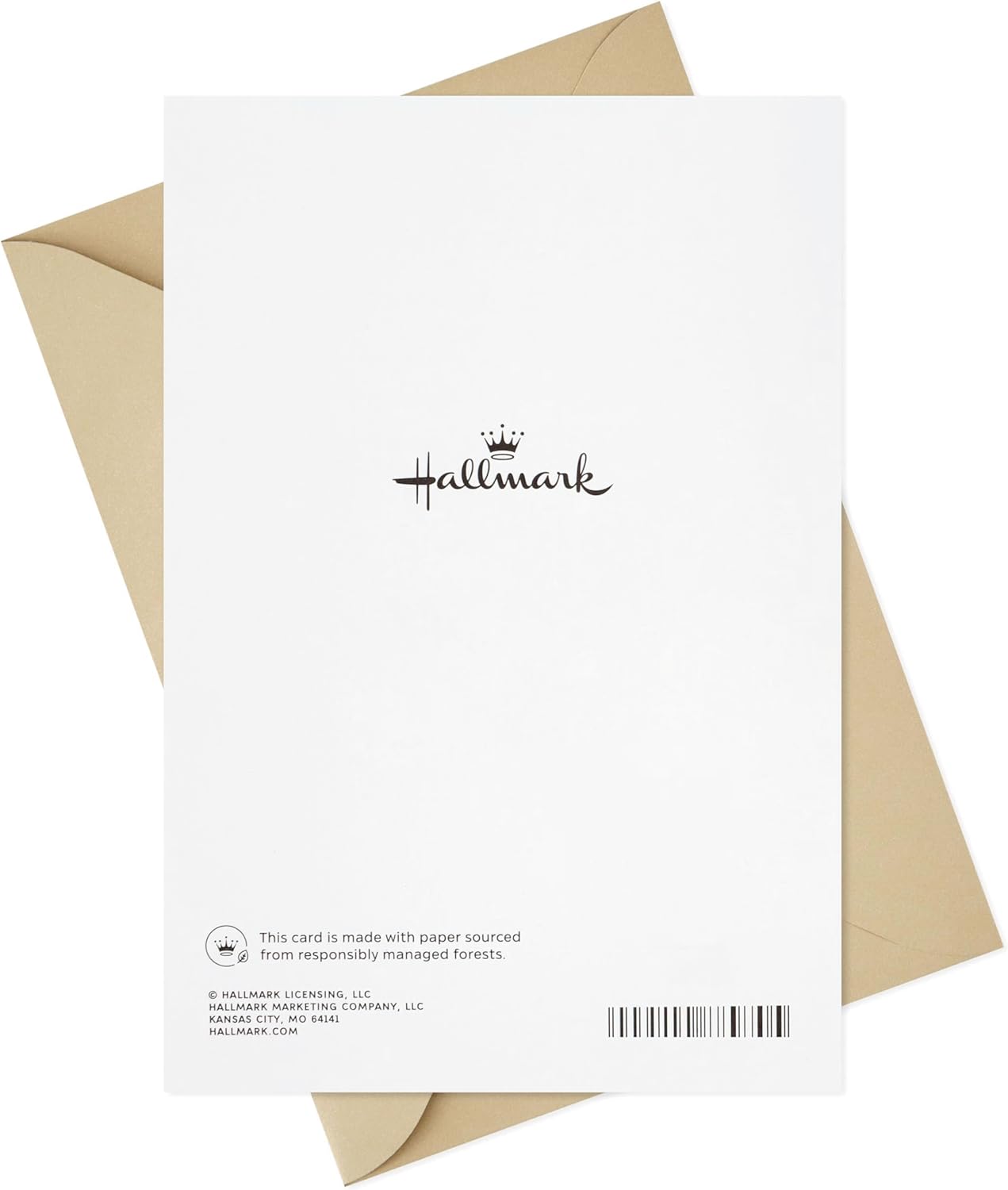 Hallmark Romantic Birthday Card (With You Beside Me) Copper Leaves
