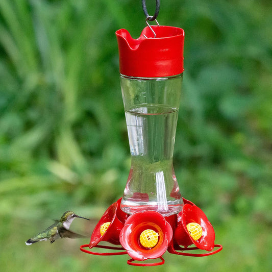 Perky-Pet Favored Pinch-Waist Glass Hummingbird Feeder with Built-in Ant Moat and Bee Guards - 16 oz Capacity - 204CP-4