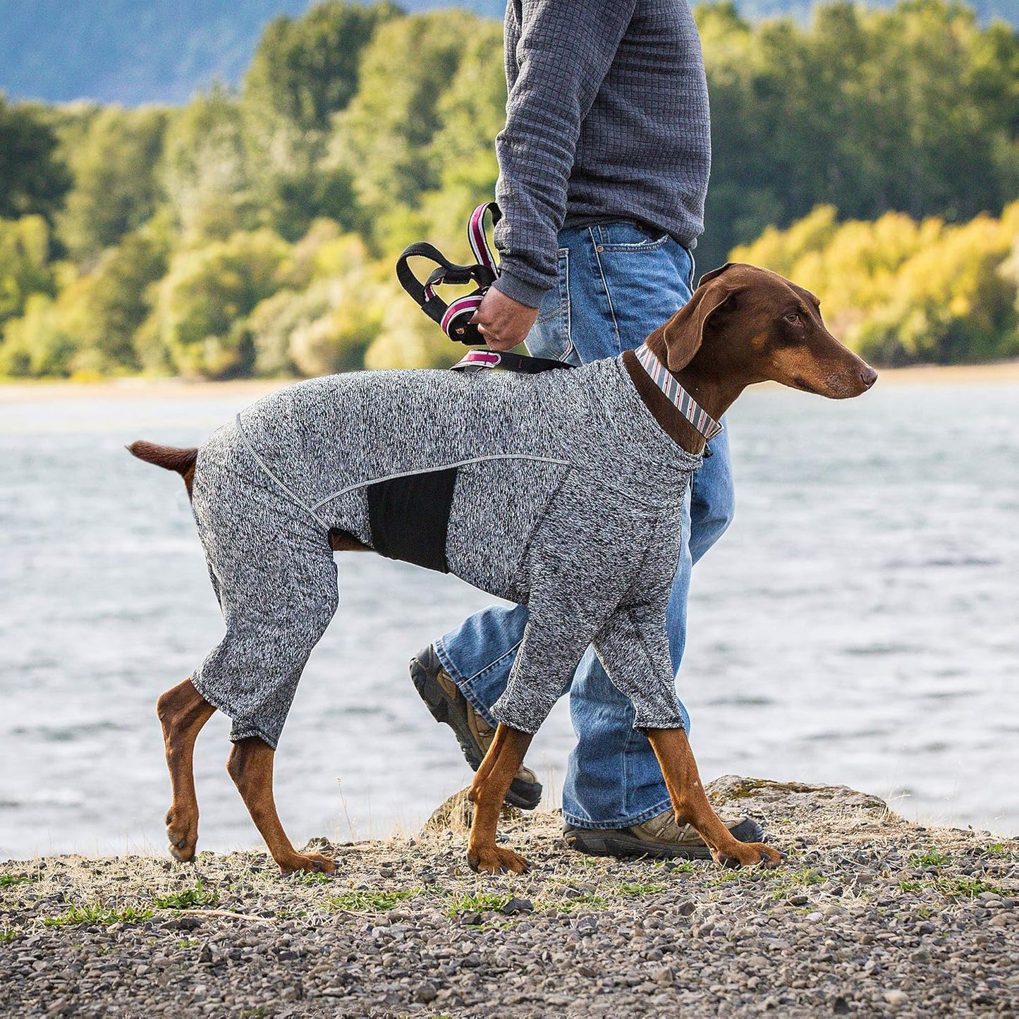 Kurgo Stowe Base Layer - Comfortable, Cold-Weather Pet Wear - Breathab