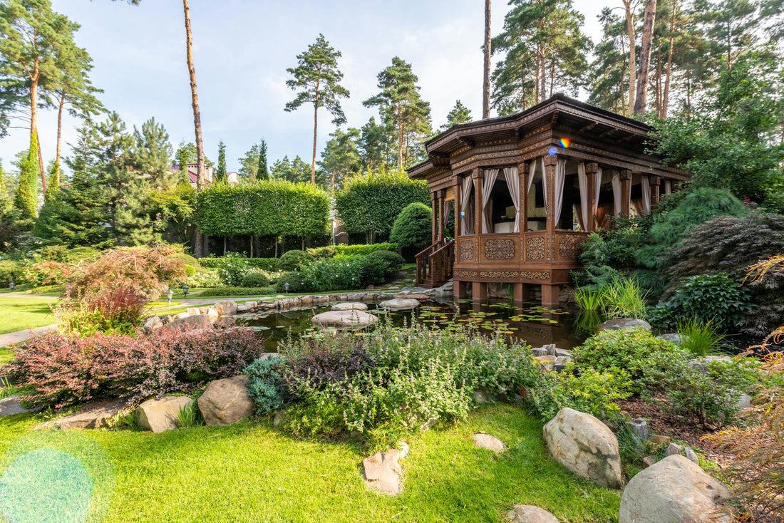 Transform Your Backyard Oasis: Bird Feeding Guide 2026