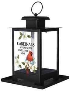 Bird Feeder-Cardinals Appear (12" x 7" x 7")