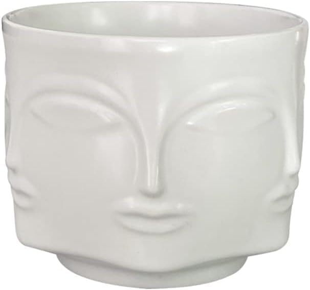 Face-Shaped Vase Ceramic Planter Head Face Modern Indoor Flowers Plant Pot Creative Human Face Statue Decoration Flower Pot Bedroom Living Room Office (White)