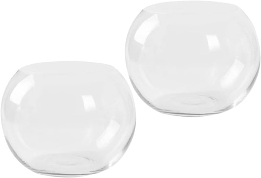 PRETYZOOM 2pcs Hydroponic Glass Vase Creative Desktop Flower Holder fo