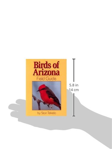 Birds of Arizona Field Guide