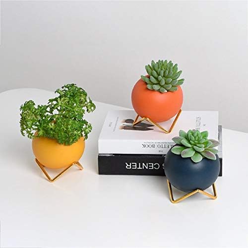 WALNUTA Nordic Iron Frame Ceramic Succulent Flowerpot Special-Shaped E