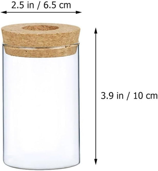 PRETYZOOM 2pcs Decorative Glass Vase with Wooden Cork Small Hydroponics Flower Pot for Indoor Greenery Stylish Planter for Home and Office Decor