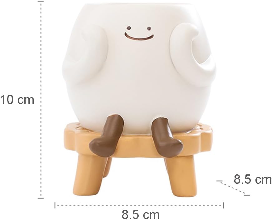 Cute Succulent Plants Pots Flowerpot, Pencils Holder Container (Starin