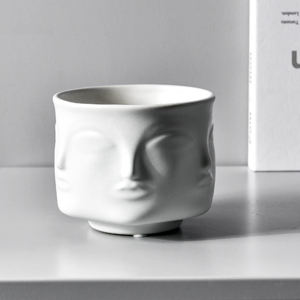 Face-Shaped Vase Ceramic Planter Head Face Modern Indoor Flowers Plant Pot Creative Human Face Statue Decoration Flower Pot Bedroom Living Room Office (White)