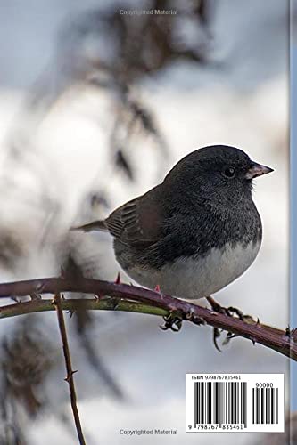 Bird Watching Journal: A Birder's Log Book: The Perfect Book For Bird Watchers