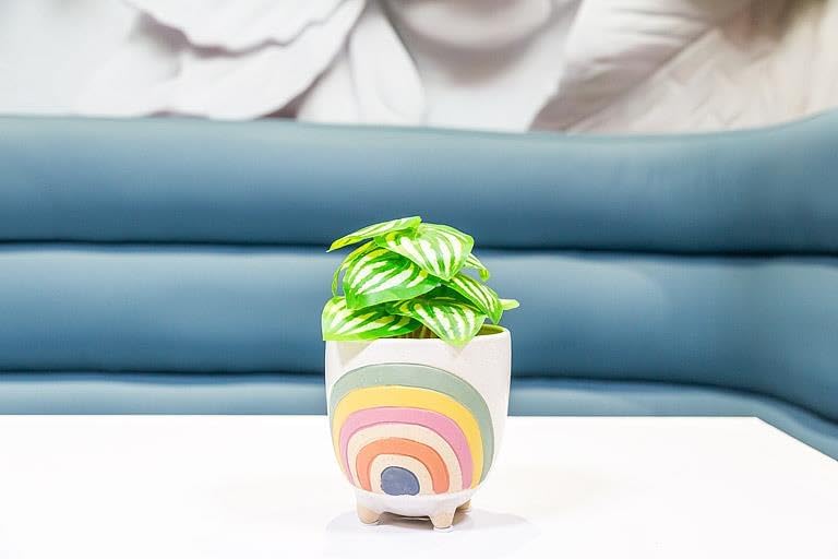 Abbott Collection Small Rainbow Planter with Legs, 4" H