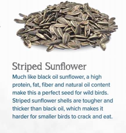 CountryMax Backyard Seeds Striped Sunflower Seeds for Cardinals 7lbs -