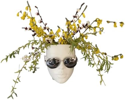 Head Planter Face Wall Hanging Table Vase Female