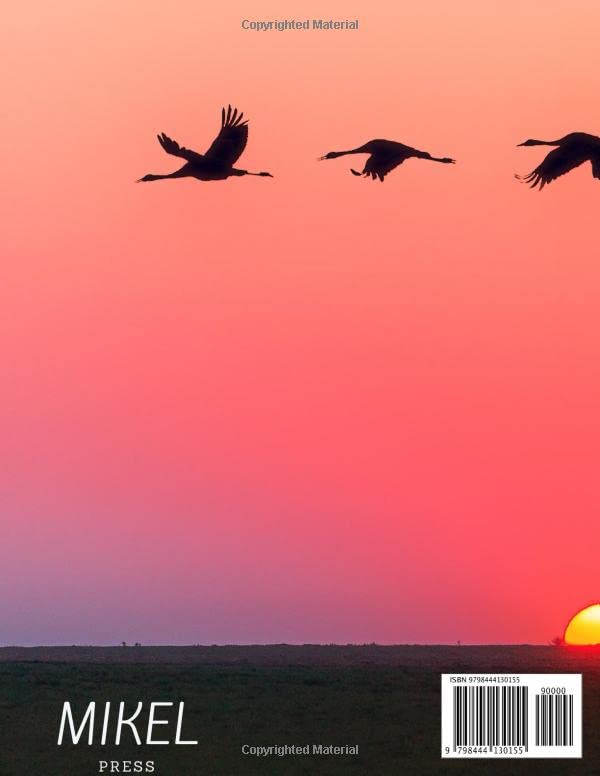 Bird Watching Journal: 100 Page Bird Watching Checklist - Lifer List
