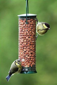 CJ Wildlife Discovery Hanging Peanut Bird Feeder- Green