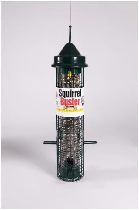 Brome Squirrel Buster Classic Squirrel-Proof Bird Feeder with 4 Feeding Ports, 2.4-Pound Seed Capacity (2 Pack)