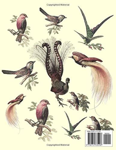 Bird Notebook: Cute Bird Journal for Bird Lovers | Great Gift for Christmas | Notebook for taking Notes, Journaling, Brainstorming Drawing and Creative Writing