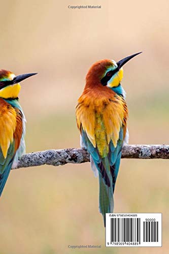 Bird Watching Log Book: The Ultimate Bird Watching Journal for Kids and Adults (Animal Journals)