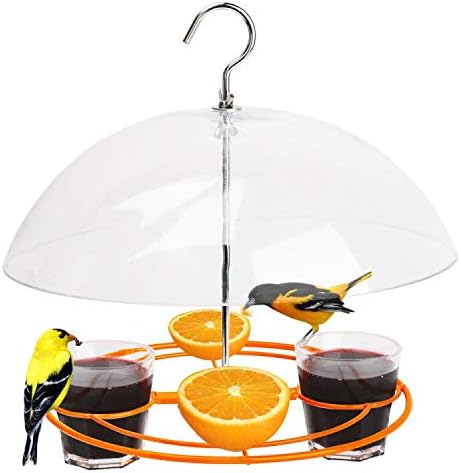 Solution4Patio Baltimore Oriole Feeder, Orange Halves Fruit & Grape Jelly, and Mealworm for Bluebirds, Weather Guard Squirrel Baffle #G-B312A00-US