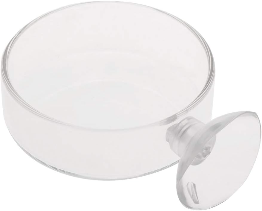 Aquarium Shrimp Feeding Dish with Suction Cup High Transparent Glass B
