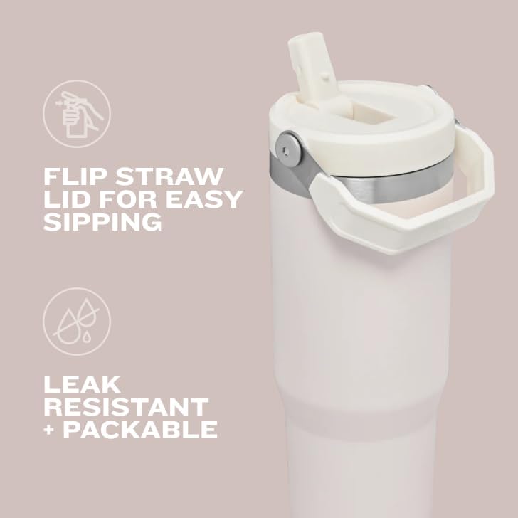 STANLEY IceFlow Flip Straw Tumbler with Handle 30 oz | Twist On Lid an