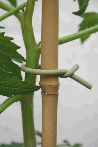 Garden Twist Tie - Slim Soft Tie for Plants & Trees - 26.3 ft - Rubber Compound/Galvanized Steel