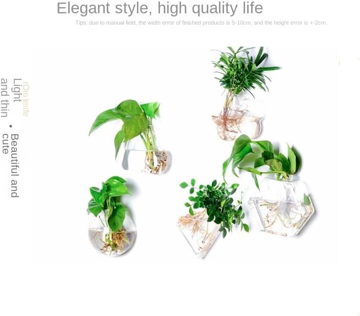 Wall Hanging Glass Plant Terrarium Container Perfect for Propagating Hydroponic Plants Home Office Garden Decor Wedding (Lantern (Width 10 and Height 14 cm))