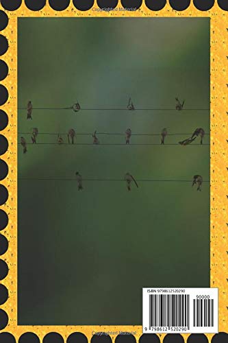 Bird Watching Log Book: 6 x 9” Journal NoteBook, Field Book, Park, Guide, Spotting List, Unique Gift for Birders and Bird Watchers