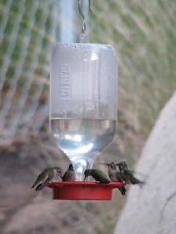 Best-1 Hummingbird Feeder Replacement Bottom