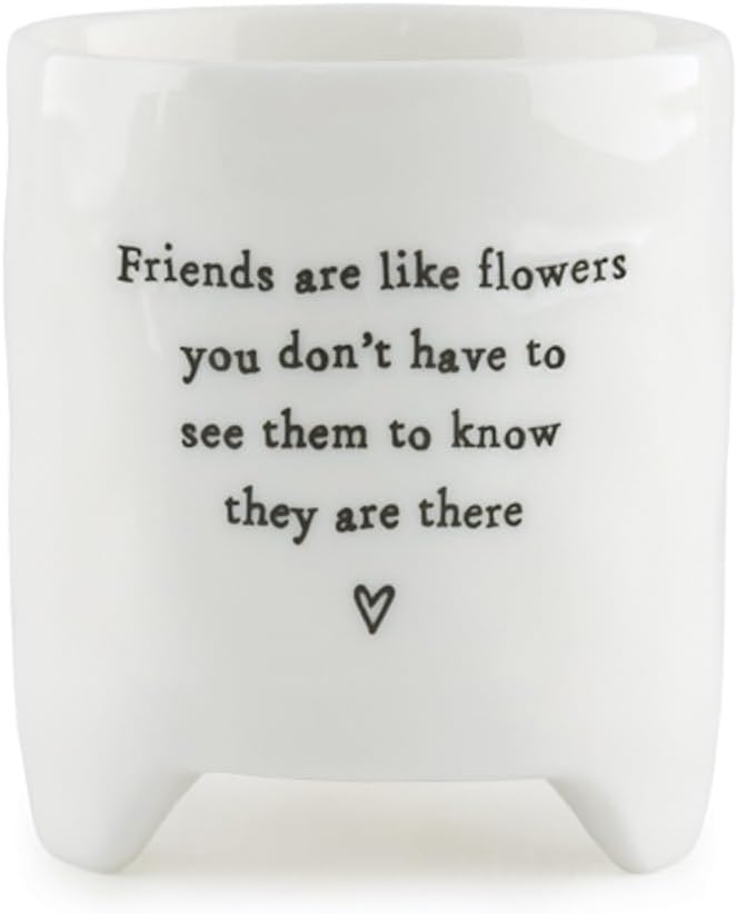 East of India Friends are Like Flowers Mini Porcelain Plant Pot