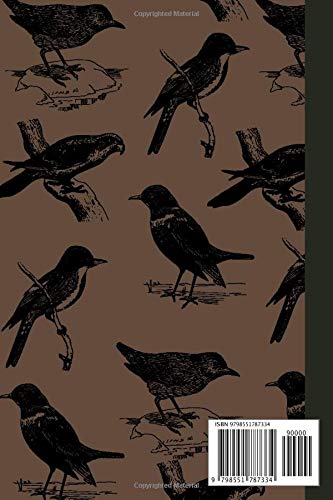 Bird Watching Journal Notebook and Birder Gift Idea: A bird watching log book and record book for twitchers | perfect gift idea for bird watchers, birders, twitchers, and bird lovers |
