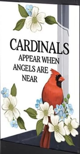 The Bridge Collection Cardinals Appear Bird Feeder - Memorial Window Bird Feeder with Glass Panes, Metal Basket Design for Indoor/Outdoor Use - A Sympathetic Gift to Remember Loved Ones