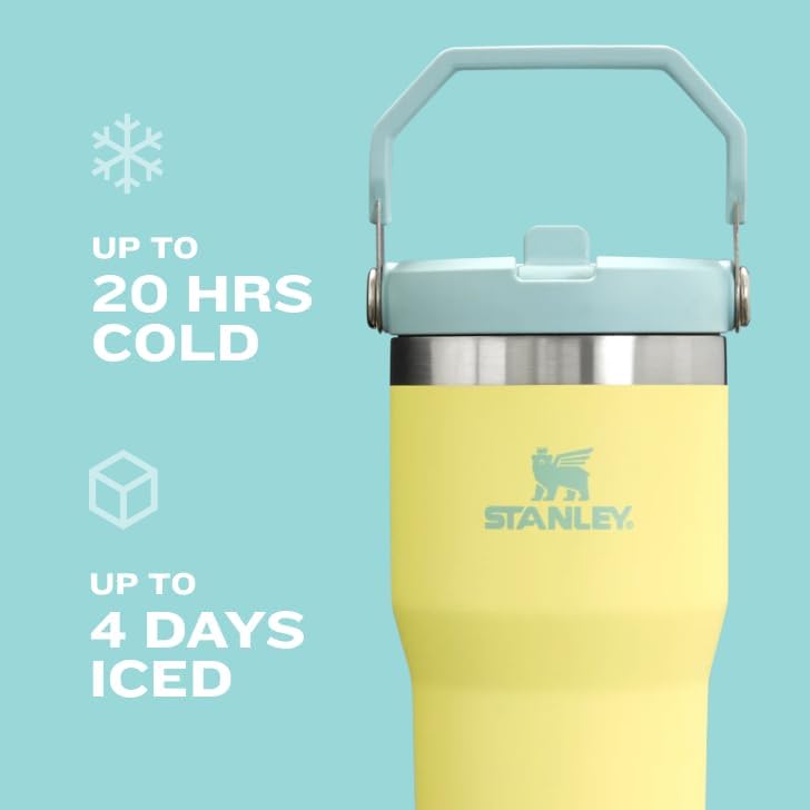 STANLEY IceFlow Flip Straw Tumbler with Handle 30 oz | Twist On Lid an