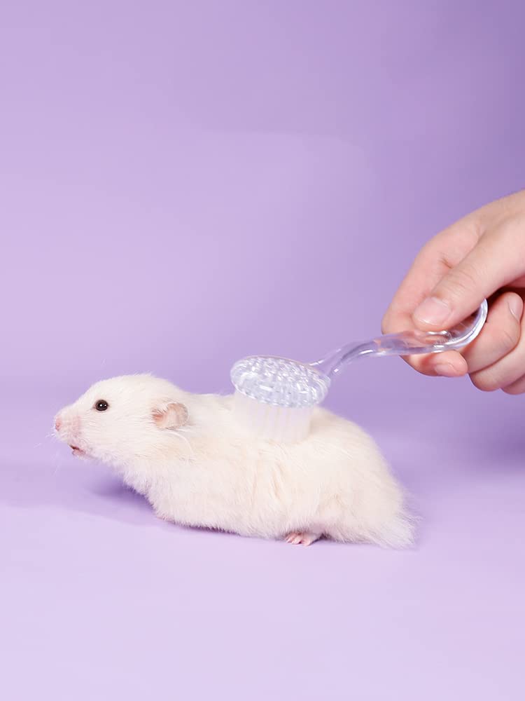 4 Pack Hamster Brush - Small Animal Bath Brush with Lid Soft Cleansing
