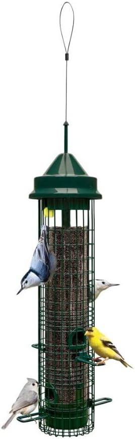 Brome Squirrel Buster Classic Squirrel-Proof Bird Feeder with 4 Feeding Ports, 2.4-Pound Seed Capacity (2 Pack)