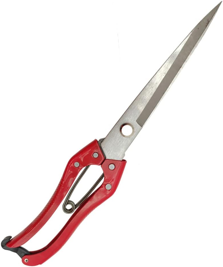 Hand Shears for Sheep Multifunctional Sheep Shear Wool Shear Trimming Scissor with Spring Stainless Steel Garden Kitchen Scissors