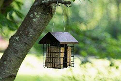 MEKKAPRO Suet Feeder for Outside Hanging Metal Roof, Woodpecker Feeder, Two Suet Bird Feeder Capacity, Cage Hanger Hanging Bird Feeder Easily Fits 2 Suet Cakes Holder - Wild Bird Feeder Basket