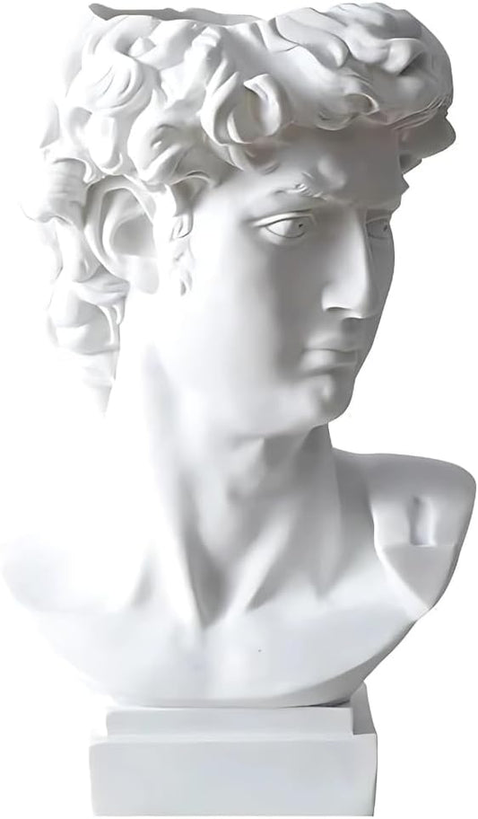 David Head Plant Pot Flower Vase Roman Style Face Planter for Garden Home Office Decorative Bust Statue Planter Modern Decor (Medium)