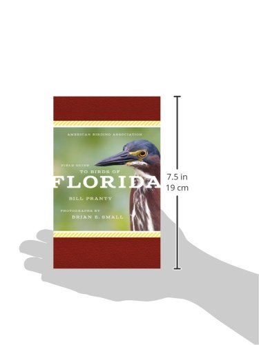 American Birding Association Field Guide to Birds of Florida