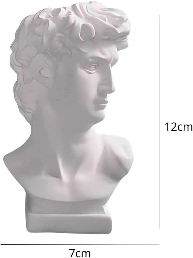 David Head Plant Pot Flower Vase Roman Style Face Planter for Garden Home Office Decorative Bust Statue Planter Modern Decor (Medium)