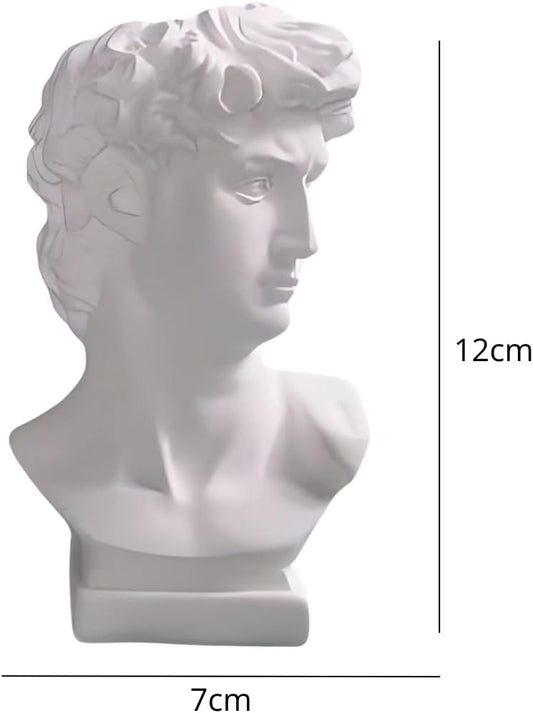 David Head Plant Pot Flower Vase Roman Style Face Planter for Garden Home Office Decorative Bust Statue Planter Modern Decor (Medium)